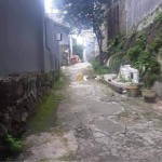 Untitled design (47)