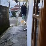 Untitled design (47)