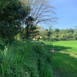 Untitled design (47)