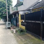 Untitled design (48)