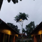 Untitled design (48)