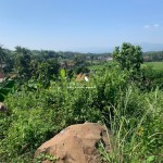 Untitled design (48)