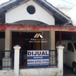 Untitled design (53)