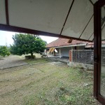 Untitled design (53)