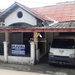 Untitled design (54)