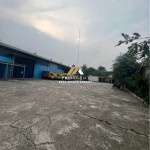 Untitled design (55)