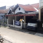 Untitled design (55)