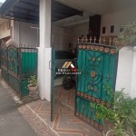 Untitled design (58)