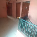 Untitled design (59)