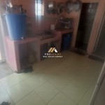 Untitled design (60)