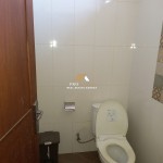 Untitled design (62)