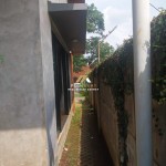Untitled design (67)