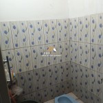 Untitled design (74)