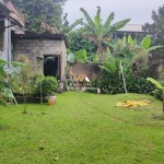 Untitled (1600 x 747 px) (10)