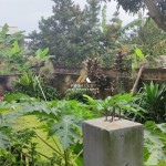 Untitled (1600 x 747 px) (11)