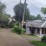 Untitled (1600 x 747 px) (5)