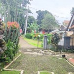 Untitled (1600 x 747 px) (9)