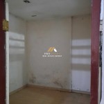 Untitled design - 2024-07-25T145615.411