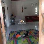 Untitled design - 2024-07-25T151511.596