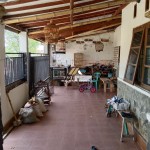 Untitled design - 2024-07-25T151528.312