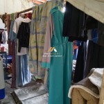 Untitled design - 2024-07-25T151612.178