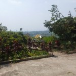 Untitled design - 2024-07-27T150514.207