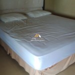 Untitled design - 2024-07-27T150531.692