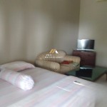 Untitled design - 2024-07-27T152510.984