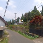 Untitled design - 2024-07-27T152530.165