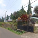 Untitled design - 2024-07-27T152629.940