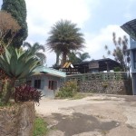 Untitled design - 2024-07-27T152646.067