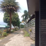 Untitled design - 2024-07-27T152702.649