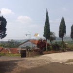 Untitled design - 2024-07-27T152719.884