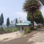 Untitled design - 2024-07-27T152739.156