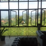 Untitled design - 2024-07-27T152939.869