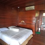 Untitled design - 2024-07-27T153116.237