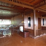 Untitled design - 2024-07-27T153148.807