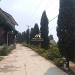 Untitled design - 2024-07-27T153250.753