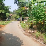 Untitled design - 2024-07-27T153307.302