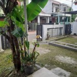 Untitled design (44)