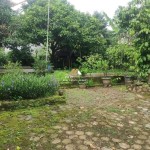 Untitled design (44)