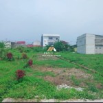 Untitled design (45)