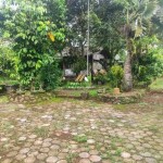 Untitled design (45)