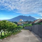 Untitled design (46)