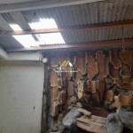 Untitled design (46)