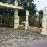 Untitled design (46)