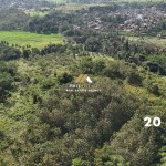 Untitled design (46)