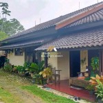 Untitled design (47)