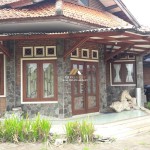 Untitled design (47)