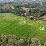 Untitled design (47)